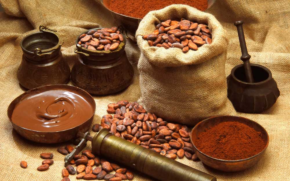 Lợi ích và tác dụng của cacao mà bạn không thể bỏ qua