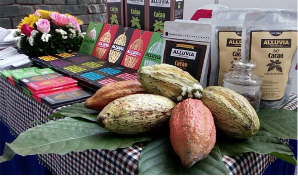 Tác dụng của bơ cacao trở thành vấn đề hot trên nhiều diễn đàn, mạng xã hội