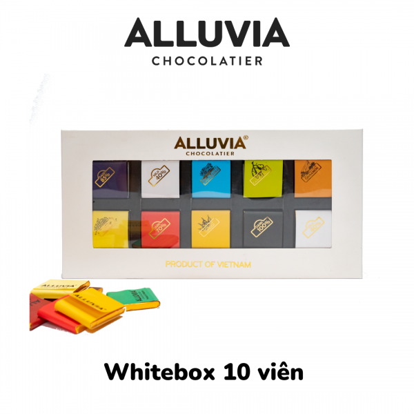 whitebox-10-pcs-dark-chocolate-alluvia-chocolate-hop-qua-socola-10-vien
