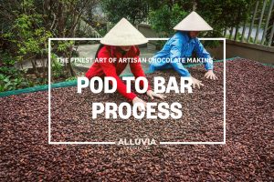 Alluvia cocoa farm and chocolate factory tour