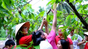 cocoa farm tour for kids Saigon