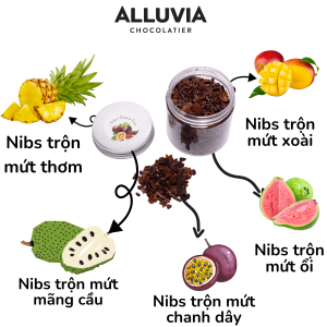 hat_cacao_rang_nguyen_chat_tron_trai_cay_roasted_cocoa_alluvia_chocolate (7)