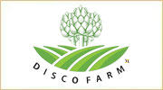 Disco Farm